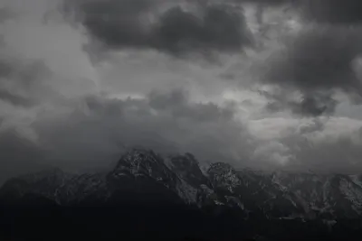 DSC_7059 (Large).JPG